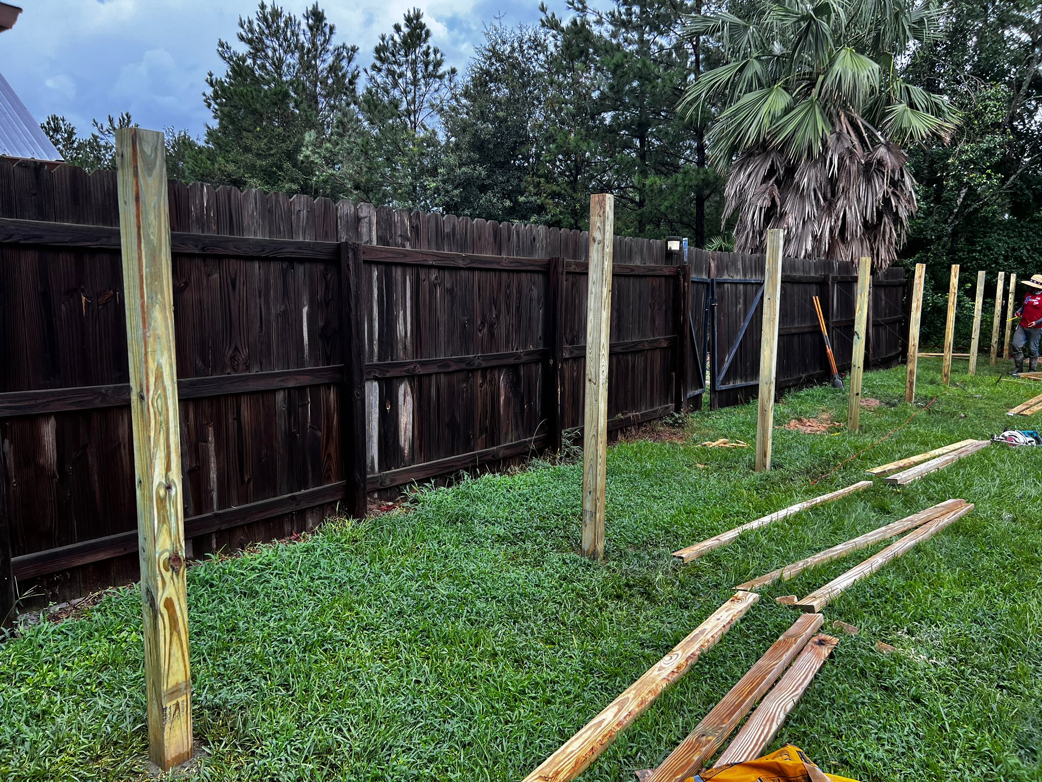 New wooden fence posts installed in a grassy backyard alongside an older dark wooden fence, with tools and lumber scattered on the grass.