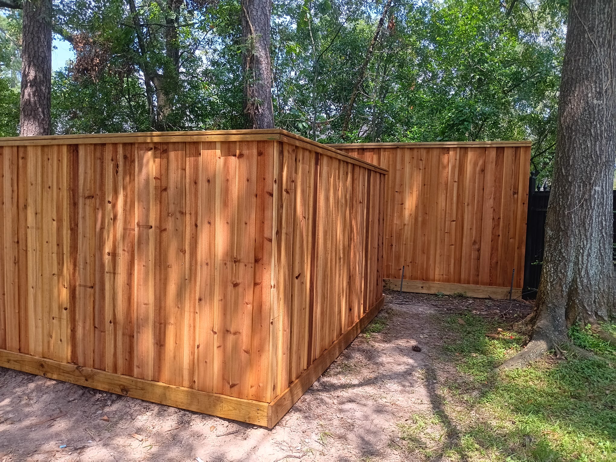 Newly constructed tall wooden fence enclosing a backyard area with trees and natural ground.