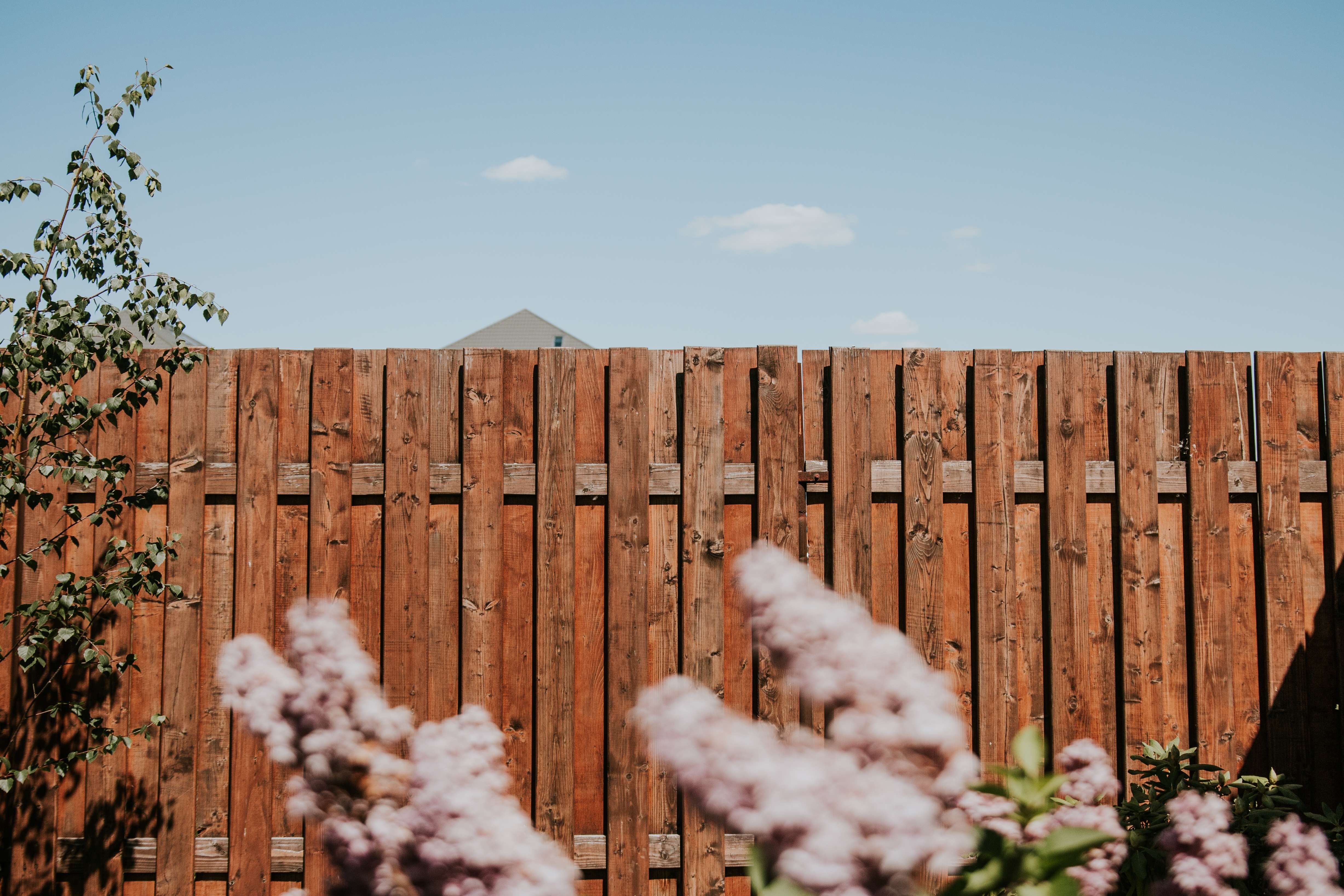 Wooden fence with a house roof visible over it, lilac flowers blurred in the foreground, and a clear blue sky with a few clouds.